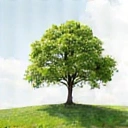 Icono de un árbol creciendo, simbolizando resultados sostenibles.